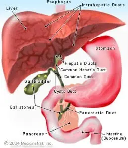 primary sclerosing cholangitis