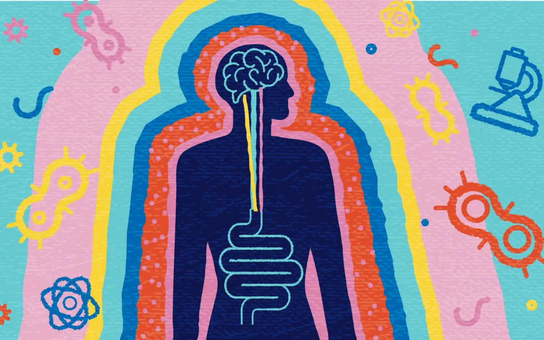 The Gut-Brain Connection: How Stress Impacts IBS 