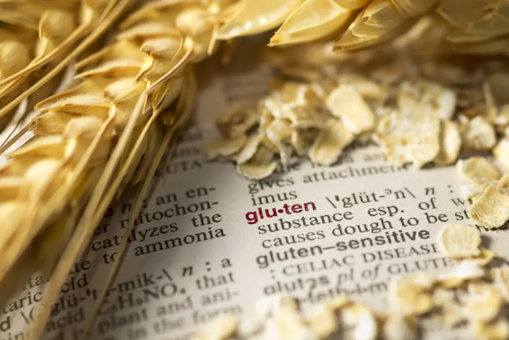gluten definition