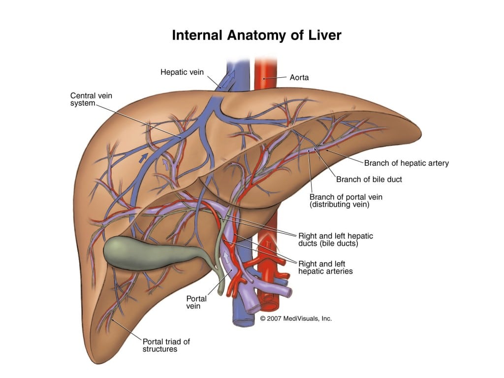 Liver disease consultation