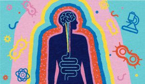 brain gut connection