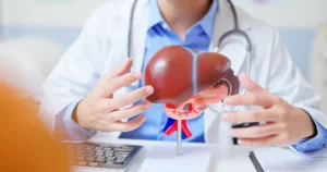 Doctor holding an anatomical liver model while explaining fatty liver disease to a patient